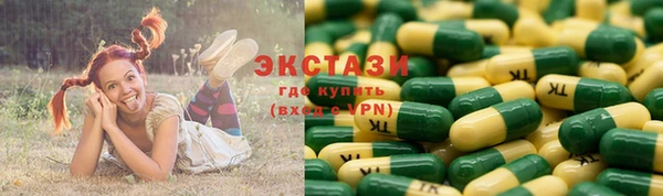 шишки Арсеньев