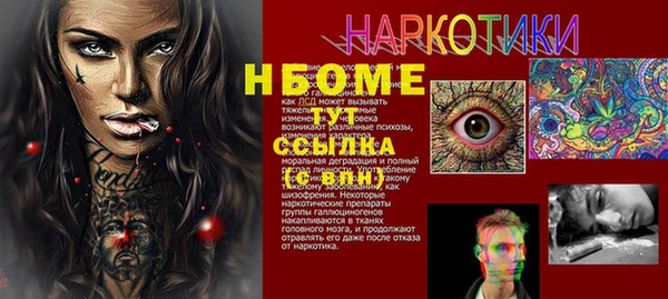 шишки Арсеньев