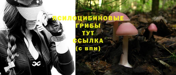 jwh Алзамай