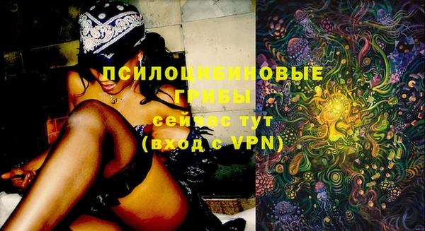 шишки Арсеньев