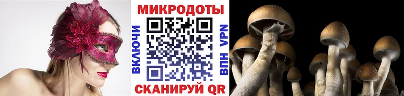 Псилоцибиновые грибы GOLDEN TEACHER  где купить наркоту  Артёмовский 
