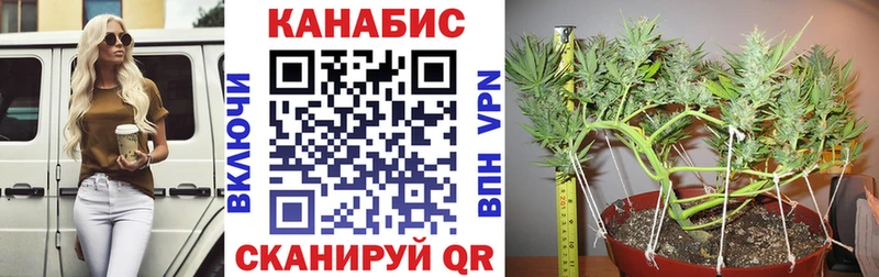 Бошки Шишки Amnesia Артёмовский